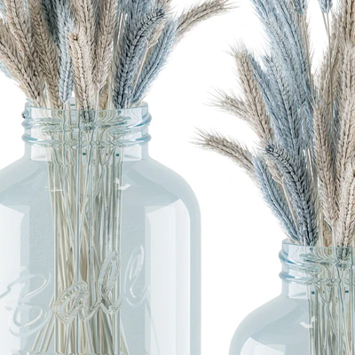 Dry Plants 20 - Blue and Cream Wheat in jam Glass — Ver 3