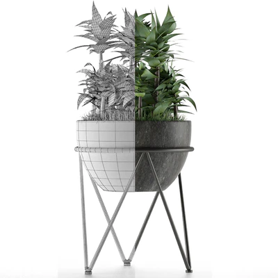 House Plant 21 — Вид 5