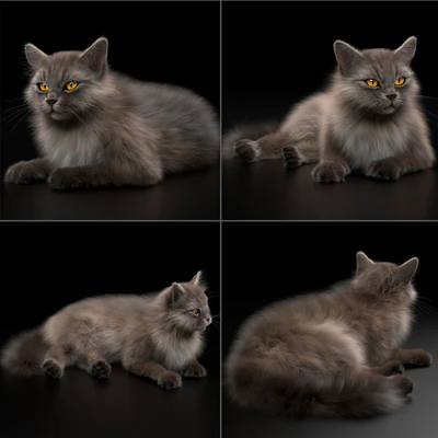 CAT 4 VRay — Вид 2