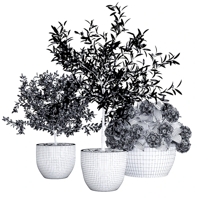 Decor, trees — Descargar