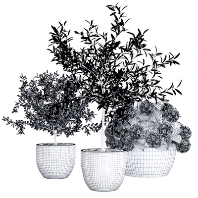 Decor, trees — Ver 2