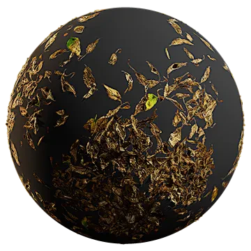 dried leaves 007 — Descargar