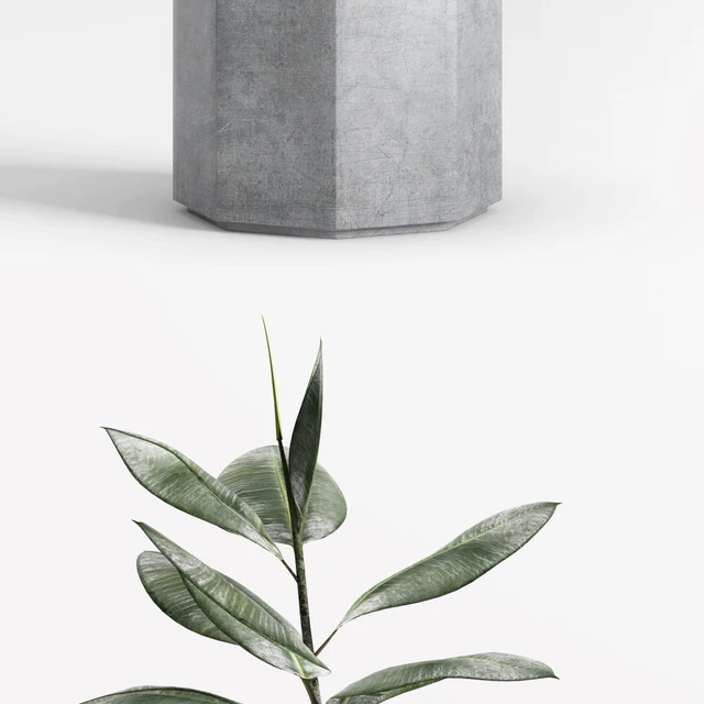 Plants and Planters  9 (Ficus Elastica) — Descargar