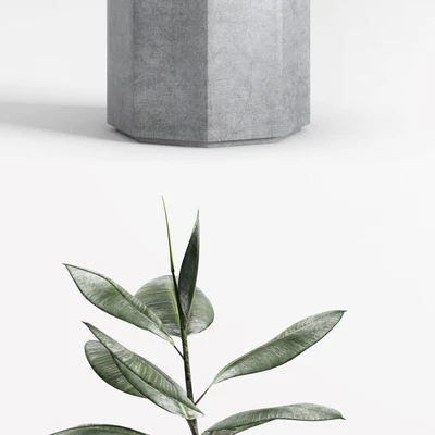 Plants and Planters  9 (Ficus Elastica) — Ver 3
