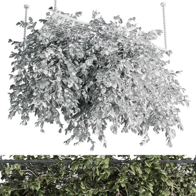Hanging plants - outdoor plant set 171 — Скачать