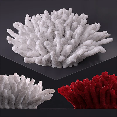 Decorative coral — Ver 1