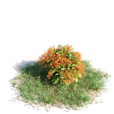 032 — Скачать