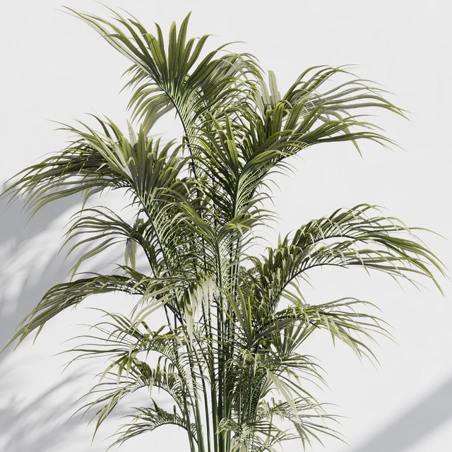 indoor plant set 76 — Descargar
