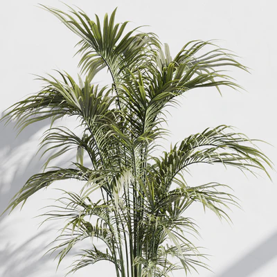 indoor plant set 76 — Ver 4