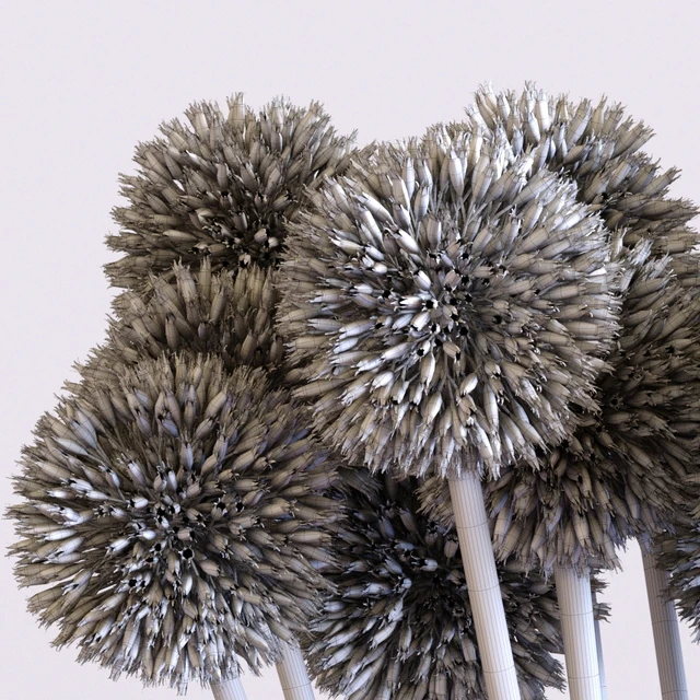 Flower Arrangement: Allium Set1 — Descargar