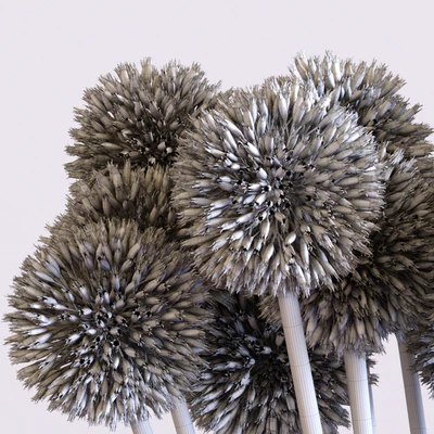 Flower Arrangement: Allium Set1 — Ver 3