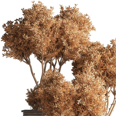 Outdoor Plants tree 22 — Ver 6