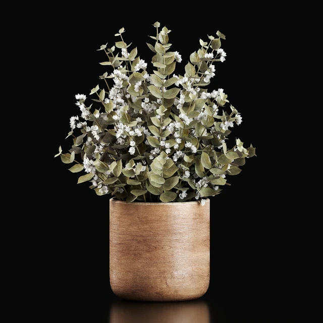 Plants Bouquet 02 — Descargar
