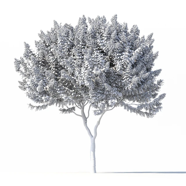 Lagerstromia tree with white flowers No 1 Corona — Descargar