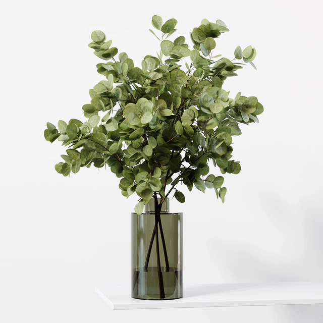 Collection Indoor Plants 041 — Скачать