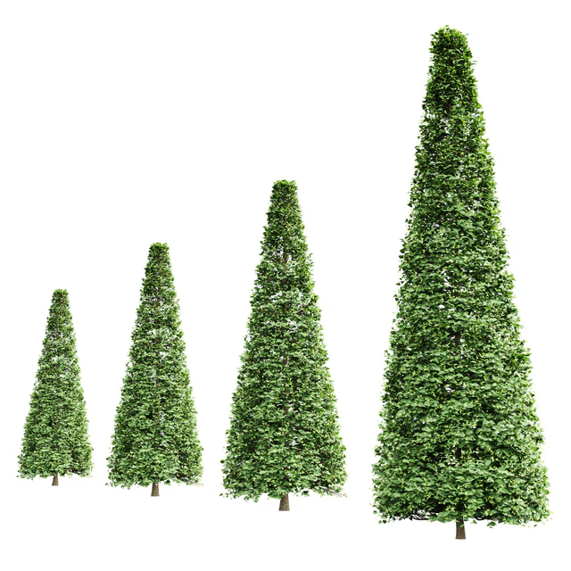 New Tree High detail Carpinus Betulus Broadleaf Conical — Descargar