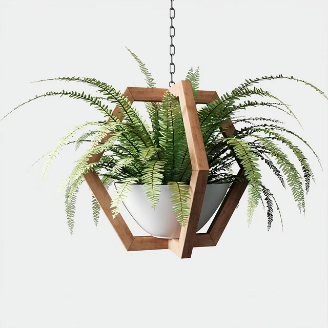 Ampelous plants in wooden figured hanging pots — Descargar