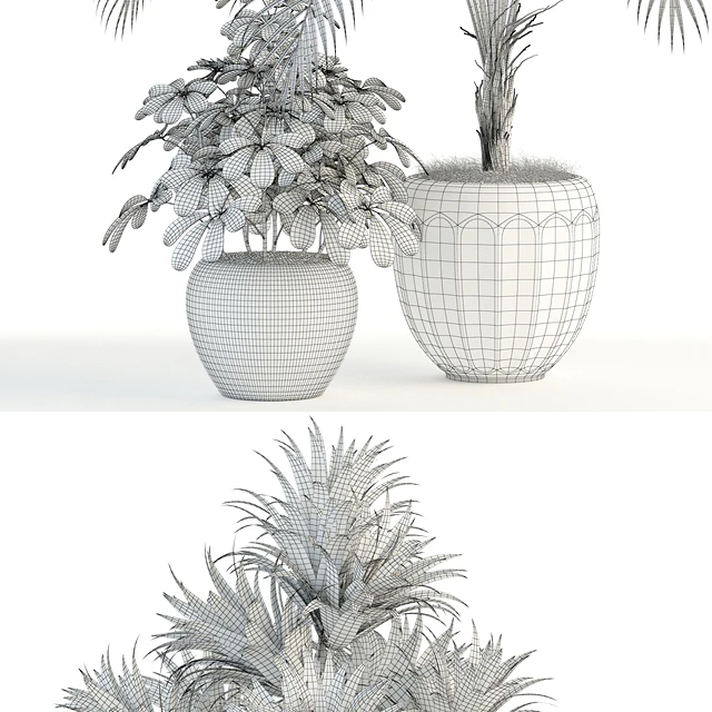Plants collection 86 — Descargar