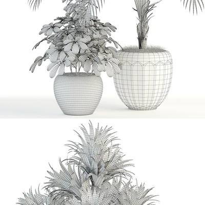 Plants collection 86 — Ver 3