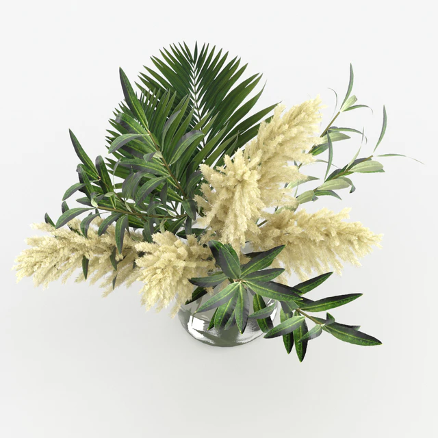 Bouquet of pampas, olives, and palm leaves — Descargar