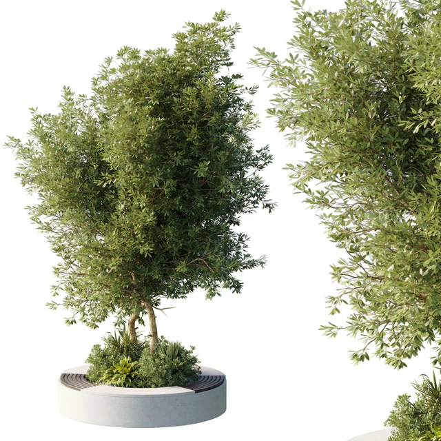 Urban Environment - Urban Furniture - Green Benches With tree 43 — Скачать
