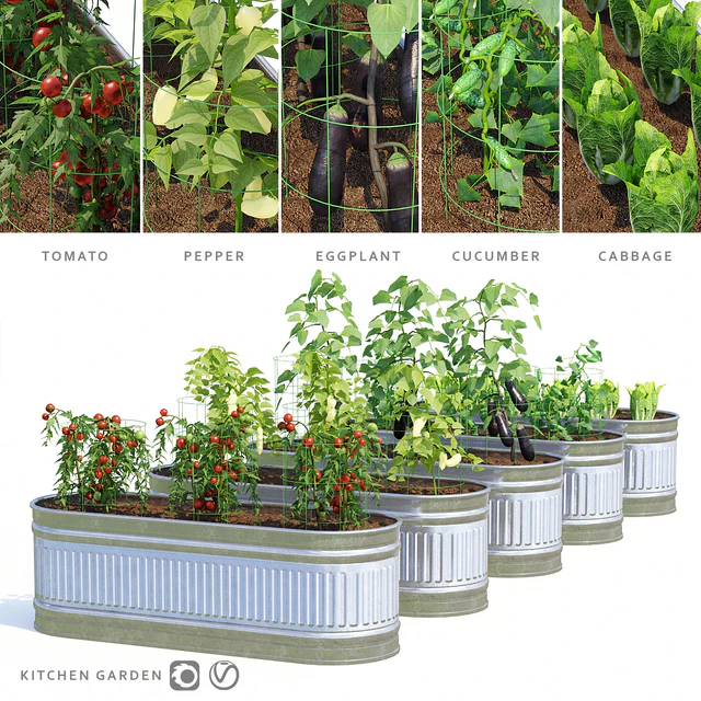 Garden | Kitchen garden — Descargar