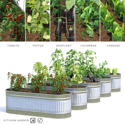 Garden | Kitchen garden — Ver 1