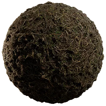 wild grass 023 — Descargar