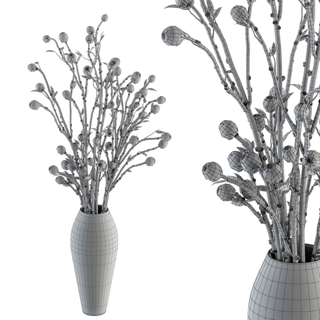 Bouquet 32 - Dried Plant Papavet Bouquet — Descargar