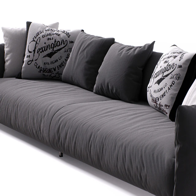 Sofa Meridiani Scott Twin — Descargar