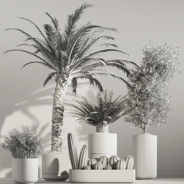 indoor plant set 36 — Скачать