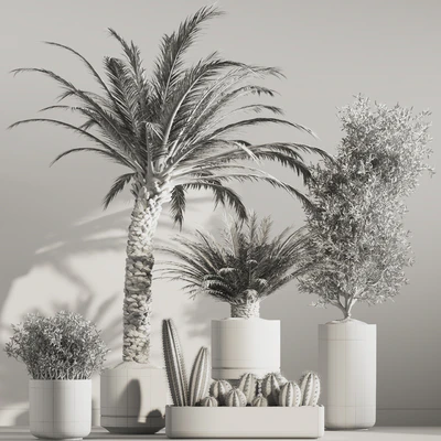 indoor plant set 36 — Вид 4