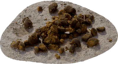 horse manure 003 — Descargar