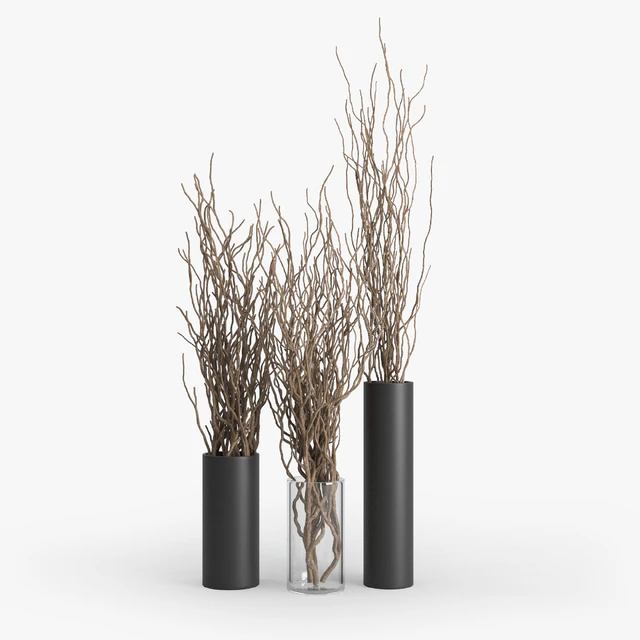 Dry Branch — Descargar