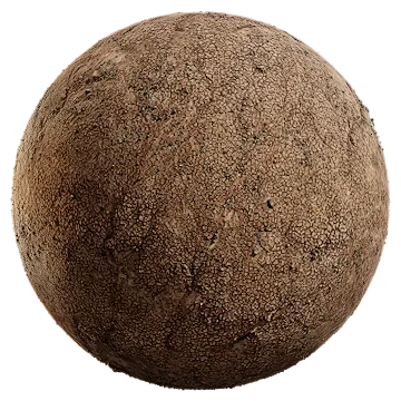 dry cracked mud 007 — Скачать
