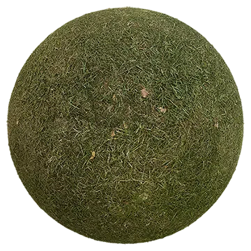 lawn grass 001 — Descargar