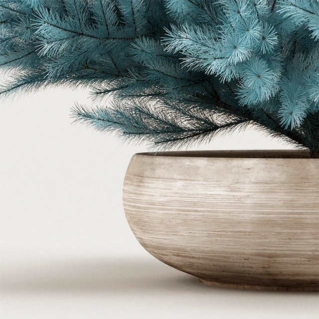 Cheap Juniper Blue — Descargar