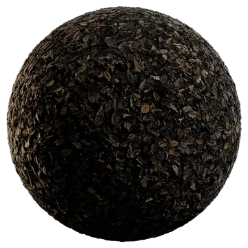 oak forest floor 001 — Скачать