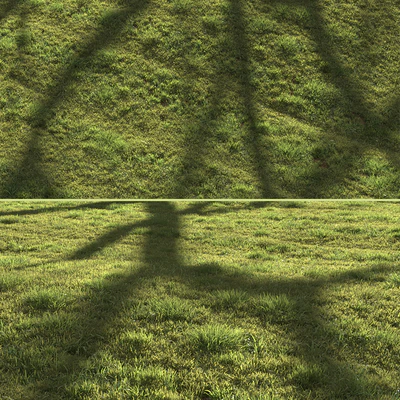 Grass landscape — Ver 4