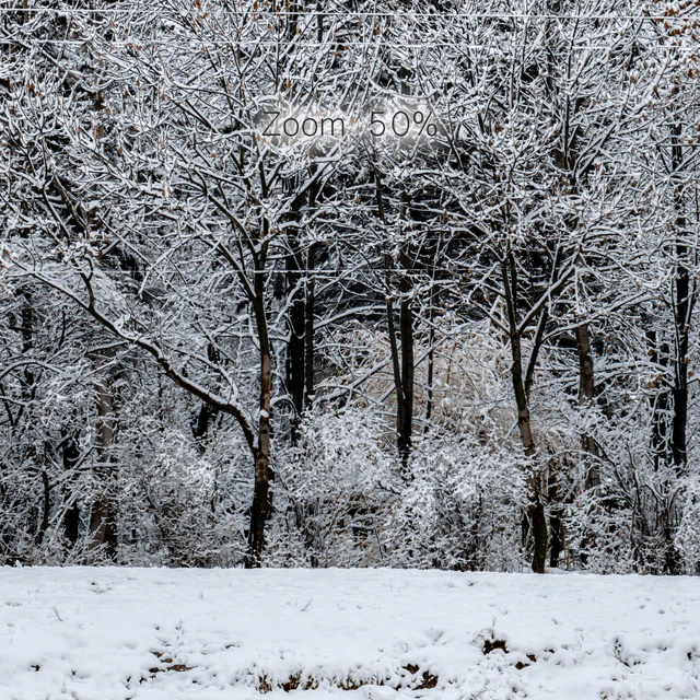 Panorama of the park with a lake and snow-covered trees. 46k — Descargar
