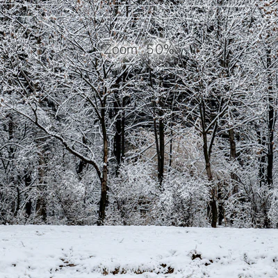 Panorama of the park with a lake and snow-covered trees. 46k — Ver 6