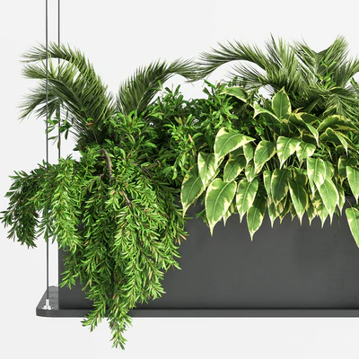 Indoor Plant Set 32  (Hanging Plants) — Ver 3