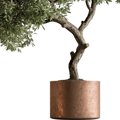 Indoor Plant 573 -Tree in Pot — Ver 6