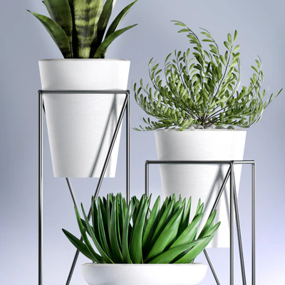 PLANTS 99 — Вид 2