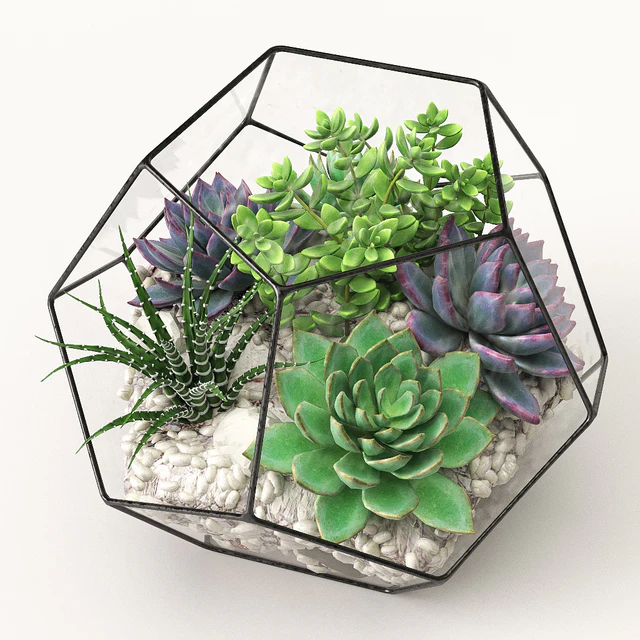 Florarium (Competition) — Descargar