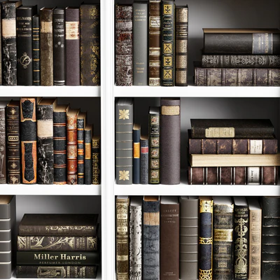 Classic Books 16 — Вид 5