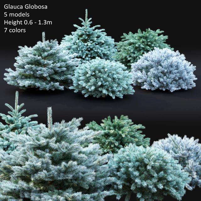 Spruce — Скачать