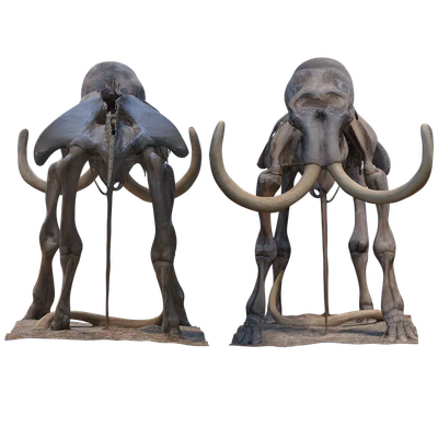 Mammoth skeleton — Ver 3