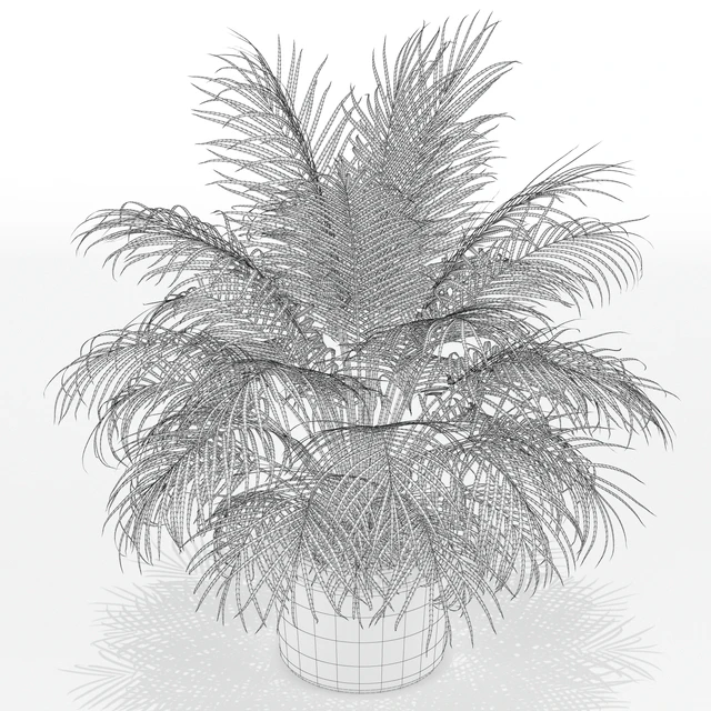 Plants collection 149 — Скачать