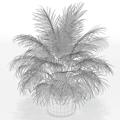 Plants collection 149 — Вид 3